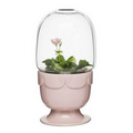 Planter on Stand w/ Glass Dome, Pink